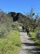 C5029826-96F9-48F7-BA8E-84C9AB38B0BC