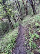 wet but stable trail